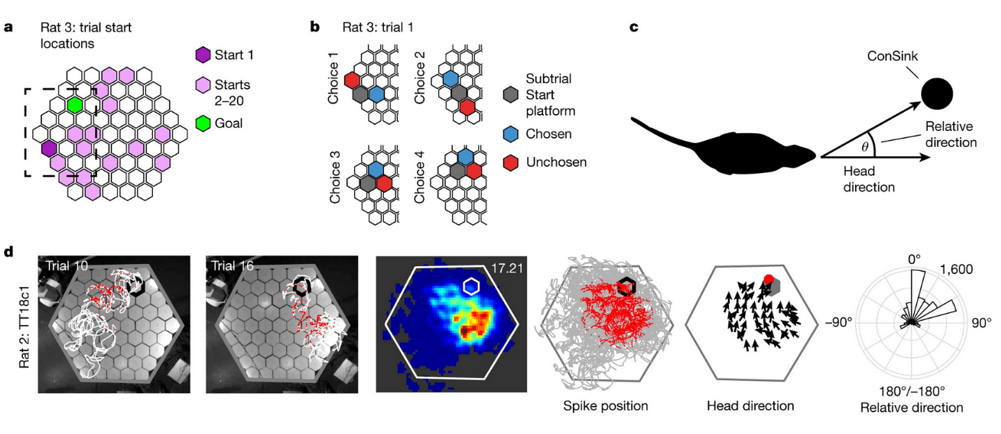 意识是从大脑的导航系统里出现的—AI的意识会不会也这样出现的？-牛翰网