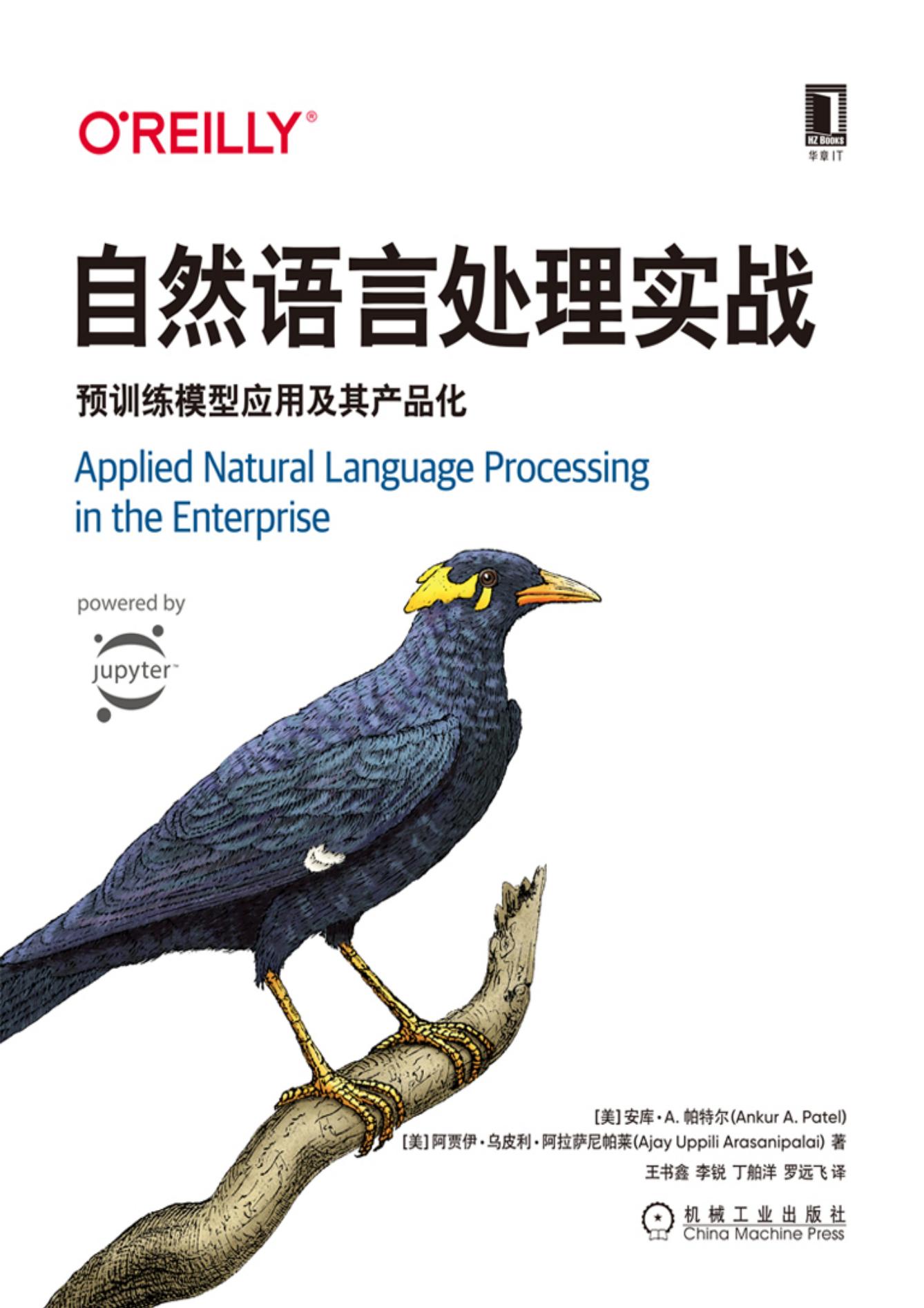 《自然语言处理实战 : 预训练模型应用及其产品化》 | PDF免费下载-牛翰网