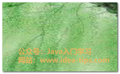 图片[1]-windows如何快速打开运行？-牛翰网