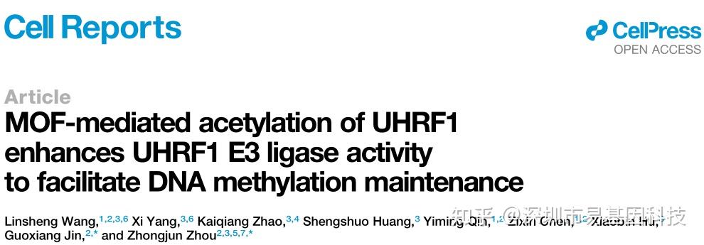 易基因：Cell Rep:RRBS揭示MOF对UHRF1乙酰化修饰是DNA甲基化维持的关键调控机制｜项目文章-牛翰网