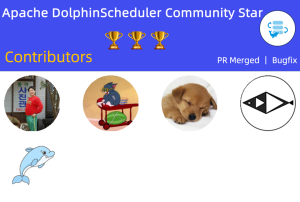 Apache DolphinScheduler项目2月份进展总结-牛翰网