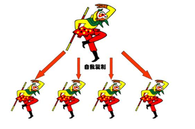 [设计模式/Java/序列化] 设计模式之原型模式【13】-牛翰网
