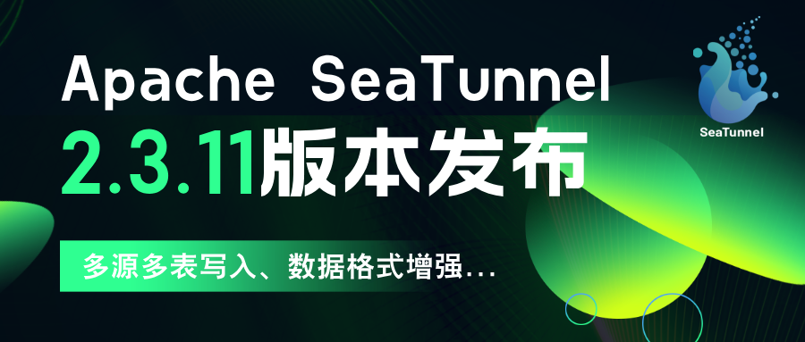 多源多表写入、数据格式增强，SeaTunnel 2.3.11 重磅更新来了！-牛翰网